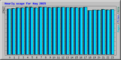 Hourly usage for May 2025