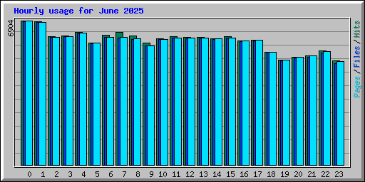 Hourly usage for June 2025